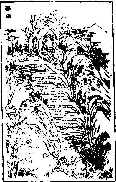 梯田_梯田介紹_歷史知識