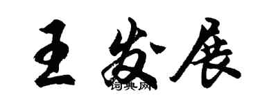 胡問遂王發展行書個性簽名怎么寫