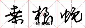 朱錫榮桑根蛇草書怎么寫