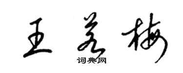梁錦英王若梅草書個性簽名怎么寫