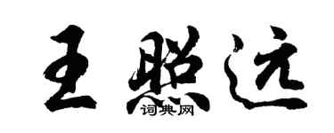 胡問遂王照遠行書個性簽名怎么寫