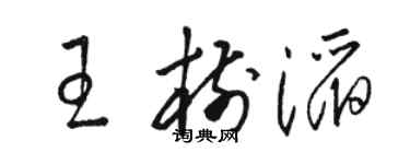 駱恆光王樹滔草書個性簽名怎么寫
