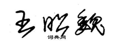 朱錫榮王昭魏草書個性簽名怎么寫