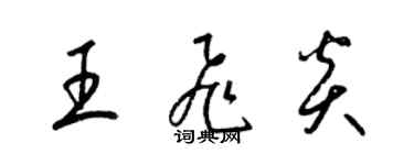 梁錦英王飛炎草書個性簽名怎么寫