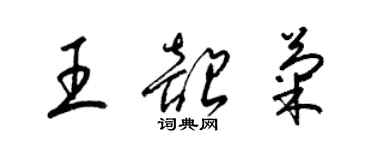 梁錦英王韶菊草書個性簽名怎么寫