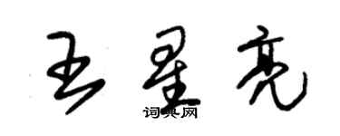 朱錫榮王星亮草書個性簽名怎么寫