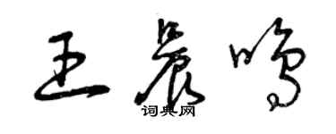 曾慶福王晨鳴草書個性簽名怎么寫