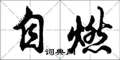 胡問遂自燃行書怎么寫