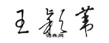 駱恆光王穎葦草書個性簽名怎么寫