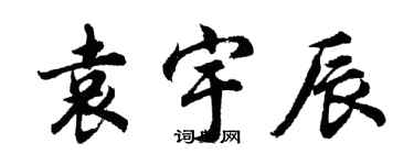胡問遂袁宇辰行書個性簽名怎么寫