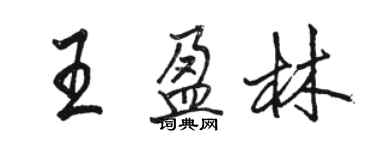 駱恆光王盈林行書個性簽名怎么寫