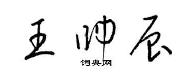 梁錦英王帥辰草書個性簽名怎么寫