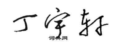 駱恆光丁宇軒草書個性簽名怎么寫