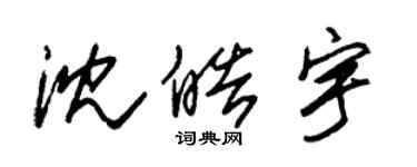 朱錫榮沈皓宇草書個性簽名怎么寫