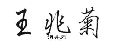 駱恆光王兆菊行書個性簽名怎么寫