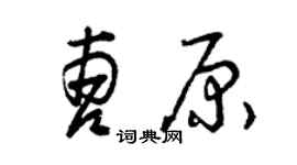 曾慶福曹原草書個性簽名怎么寫