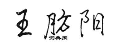 駱恆光王肪陽行書個性簽名怎么寫