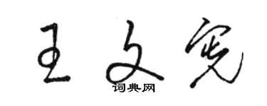 駱恆光王文憲草書個性簽名怎么寫