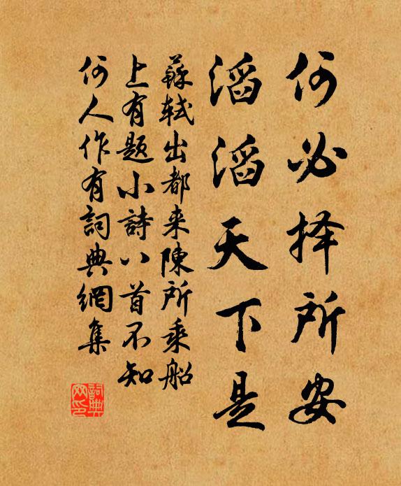 鬢畔有千莖白，眉間無一點黃 詩詞名句