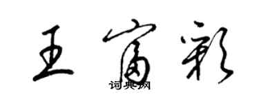 梁錦英王富彩草書個性簽名怎么寫