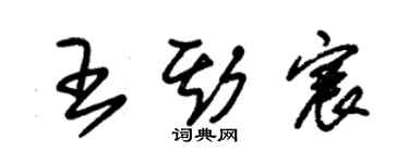 朱錫榮王斯宸草書個性簽名怎么寫