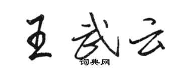 駱恆光王武雲行書個性簽名怎么寫