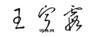 駱恆光王寧霞草書個性簽名怎么寫