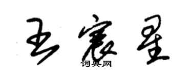 朱錫榮王宸星草書個性簽名怎么寫