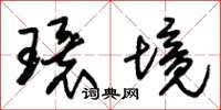 朱錫榮環境草書怎么寫