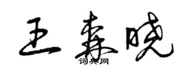 曾慶福王森曉草書個性簽名怎么寫