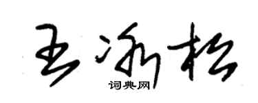 朱錫榮王冰松草書個性簽名怎么寫