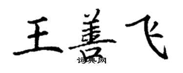 丁謙王善飛楷書個性簽名怎么寫