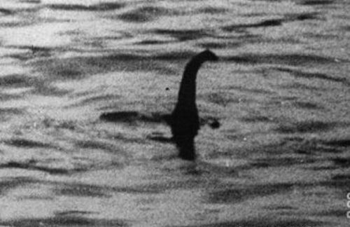 為何說王昭君和親是一朵鮮花插在牛糞上