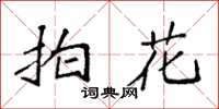 袁強拍花楷書怎么寫