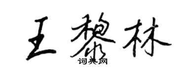 王正良王黎林行書個性簽名怎么寫