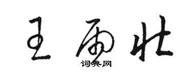 駱恆光王雨壯草書個性簽名怎么寫