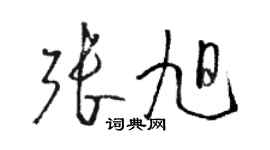 駱恆光張旭草書個性簽名怎么寫