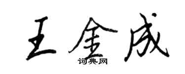 王正良王金成行書個性簽名怎么寫