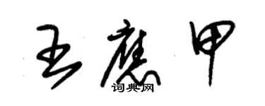 朱錫榮王應甲草書個性簽名怎么寫