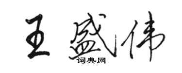 駱恆光王盛偉行書個性簽名怎么寫