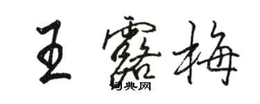 駱恆光王露梅行書個性簽名怎么寫