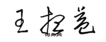 駱恆光王想益草書個性簽名怎么寫