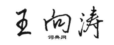 駱恆光王向濤行書個性簽名怎么寫