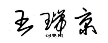 朱錫榮王瑞京草書個性簽名怎么寫