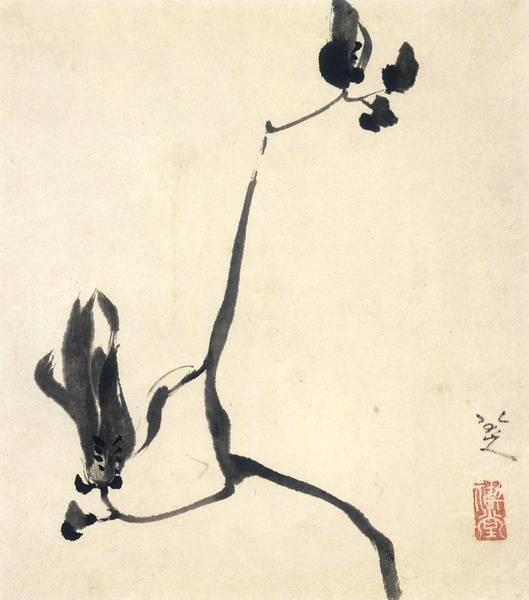 八大山人晚年作《安晚冊》