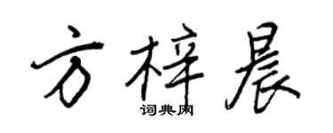 王正良方梓晨行書個性簽名怎么寫