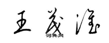 梁錦英王茂淮草書個性簽名怎么寫