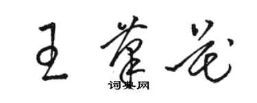 駱恆光王筆花草書個性簽名怎么寫