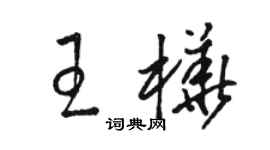 駱恆光王樺草書個性簽名怎么寫