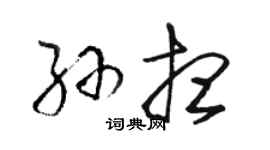 駱恆光孫想草書個性簽名怎么寫